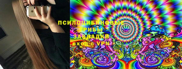 твердый Ельня