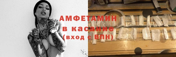 твердый Ельня