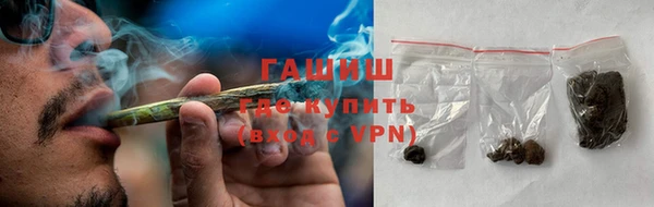 твердый Ельня