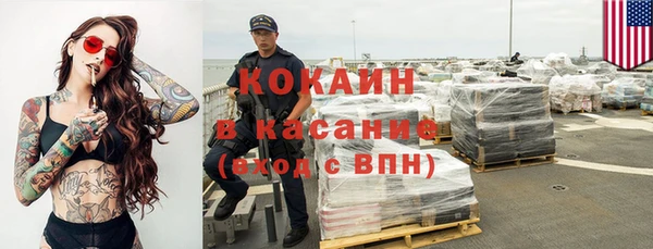 твердый Ельня