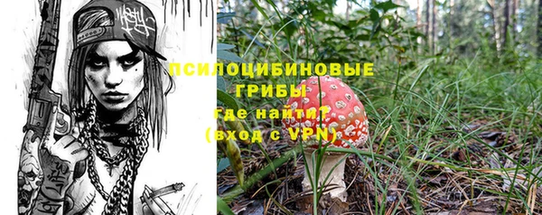 ешки Корсаков