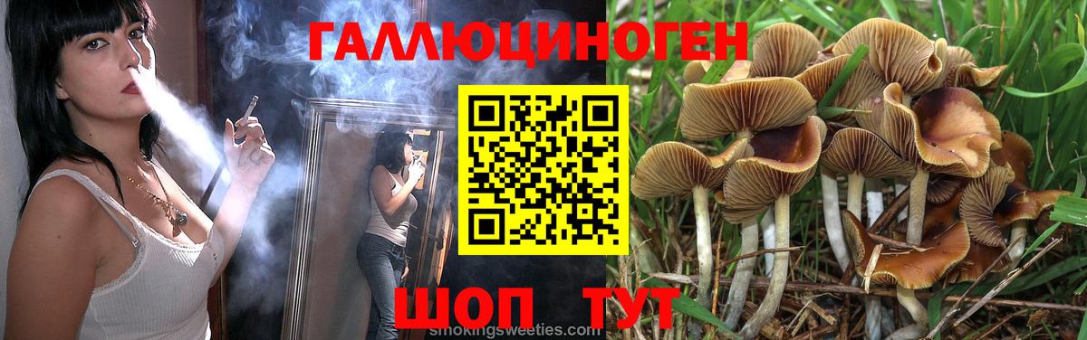 Галлюциногенные грибы MAGIC MUSHROOMS Дмитров