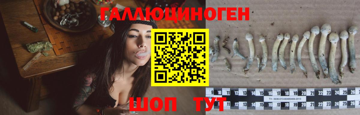 Галлюциногенные грибы Psilocybine cubensis  Галлюциногенные грибы Psilocybe  Вход с VPN  Дмитров 